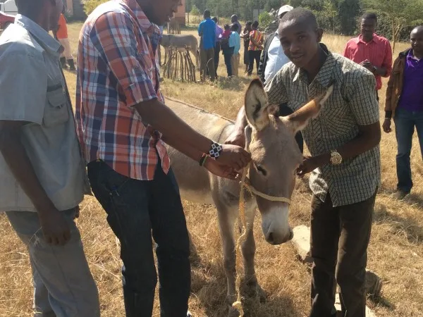 Donkey and owners