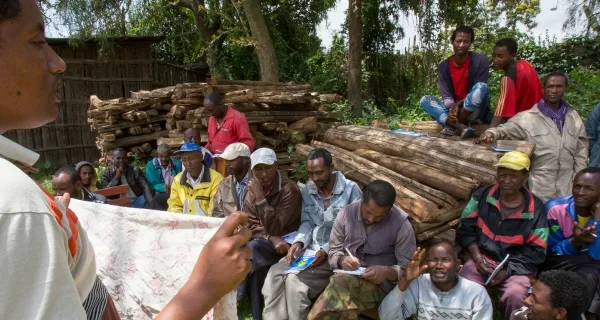 Vet training outside