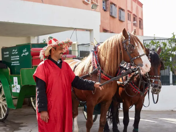 Man standing next to two horses harnessed to carriage