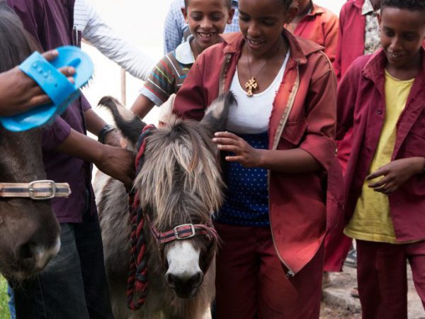 Children with a donkey