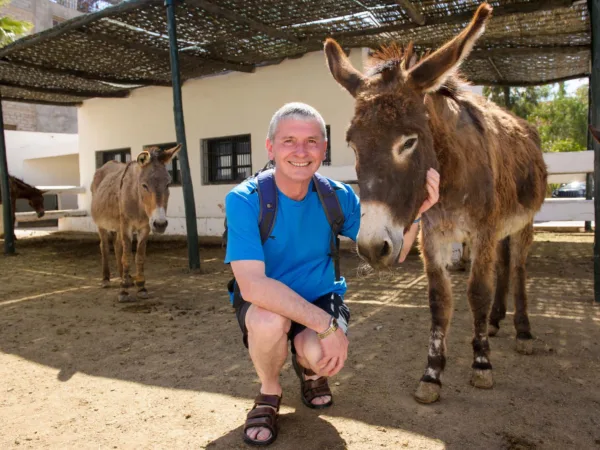 Man crouched down next to donkey