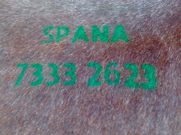 SPANA stencil