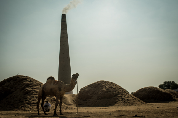 Camel near factory trumpet