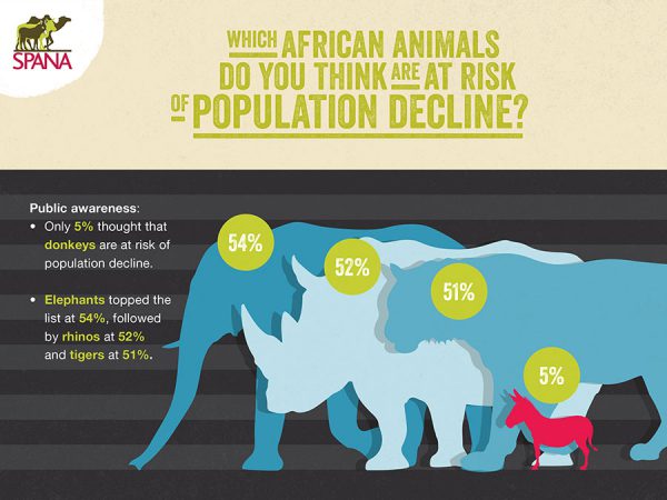 Infographics on only 5 per cent thought donkeys were at risk of population decline