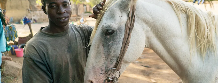 Dafijeh the white horse with his owner Kalifa
