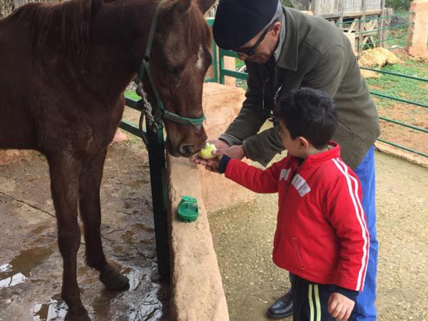 Man and a boy feeding a horse