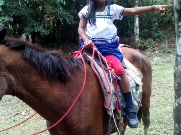 A child riding a horse