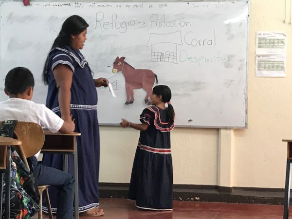 Teacher and a child near the desk with donkey picture