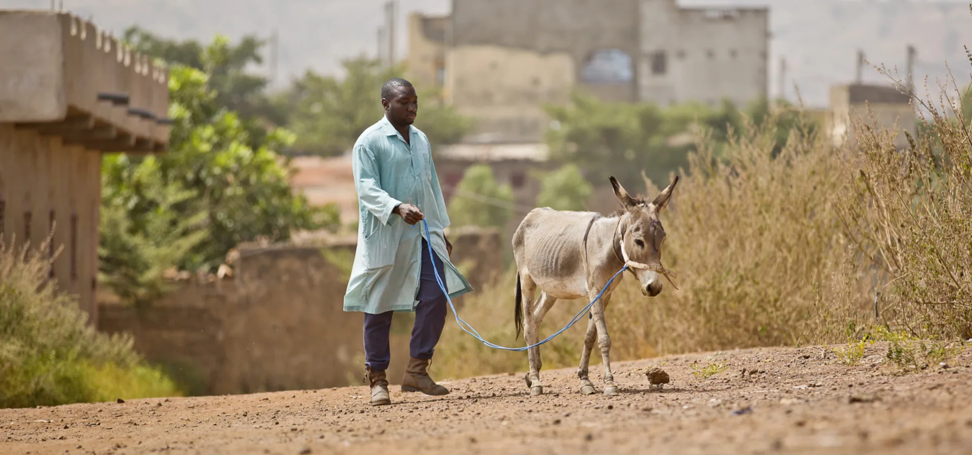 Man walking with a thin donkey