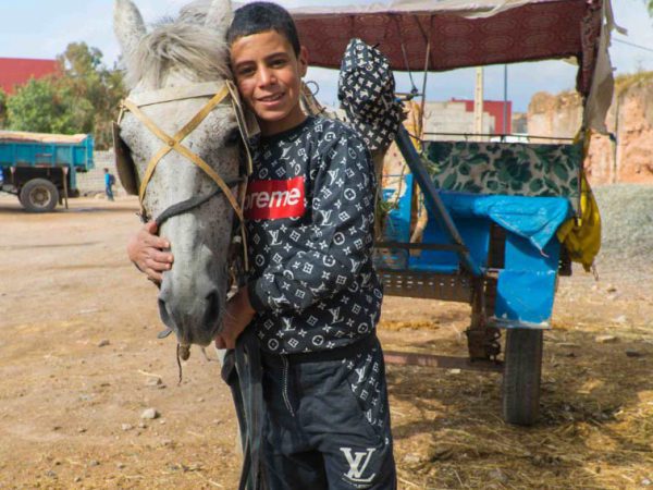 Morocco boy and his white horse