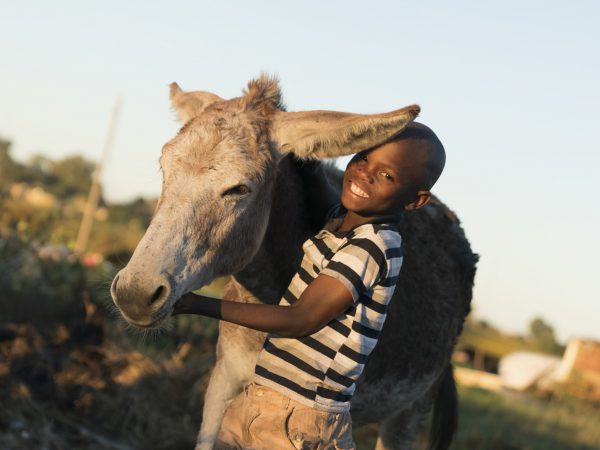 Smiling boy and his donkey in Africa