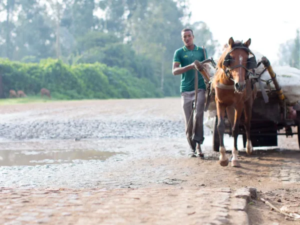 Man and horse walking down road
