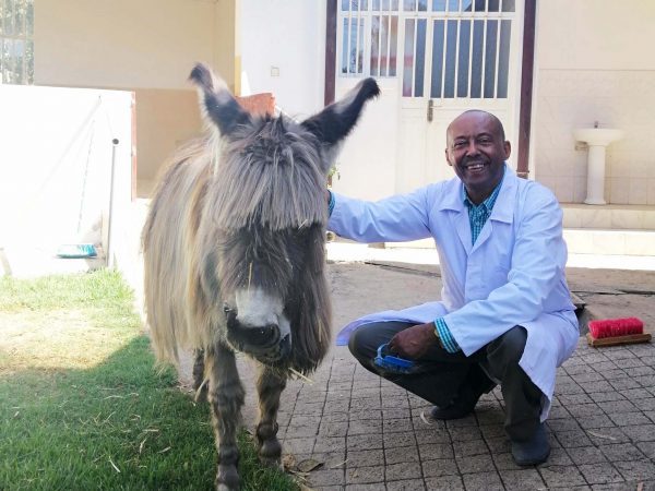 Man in white coat crouched next to donkey