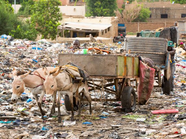 Mali donkeys helping with rubbish