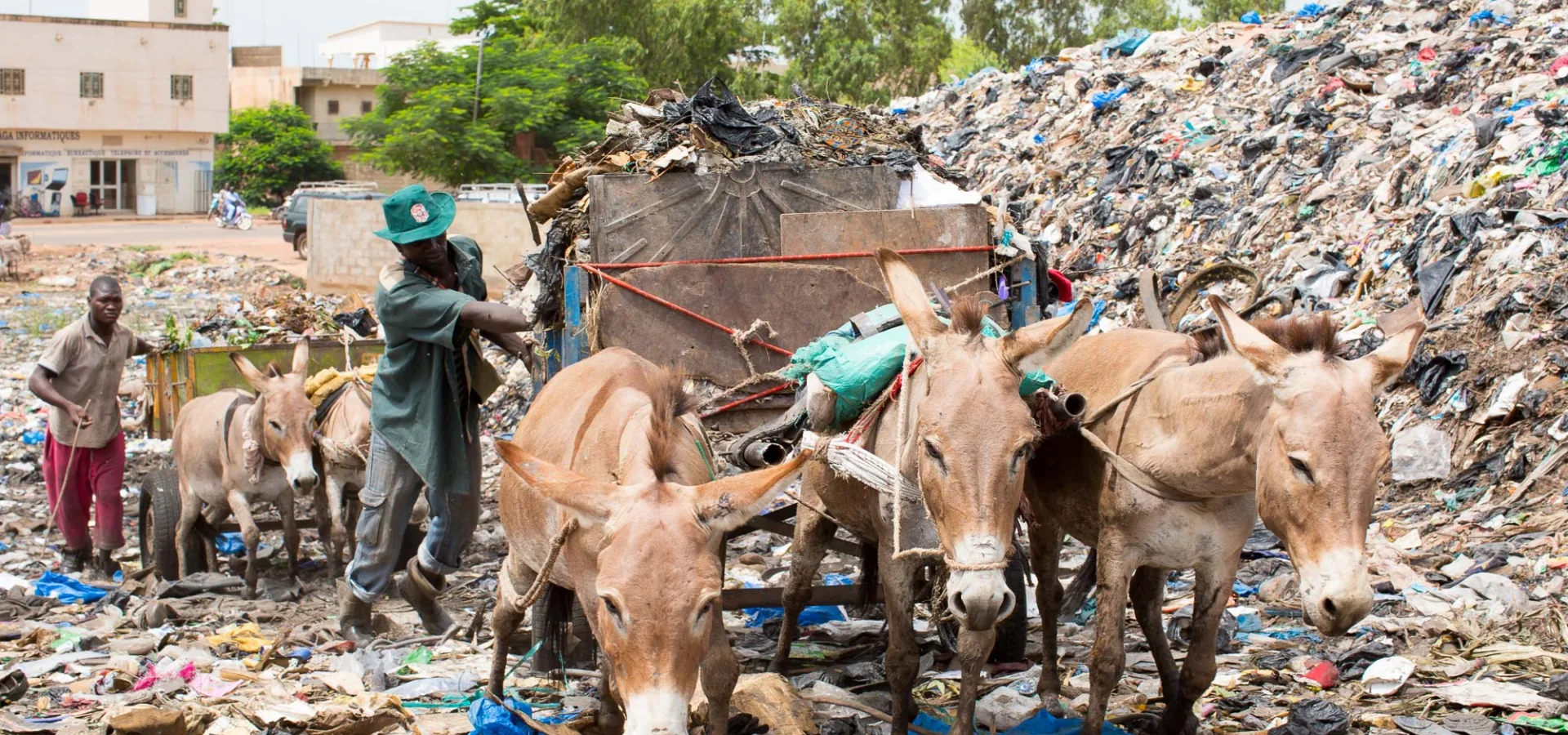 Mali rubbish and donkeys