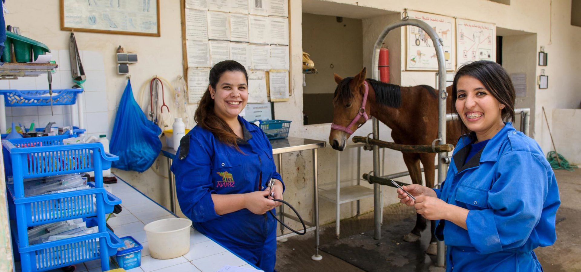 Two smiling women and a horse in a lab