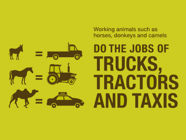 green graphic for working animals