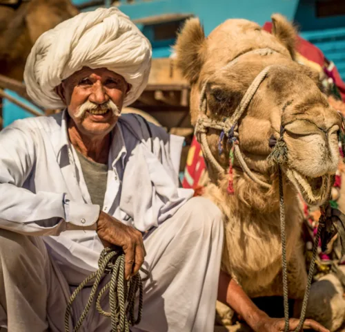 A working camel looks content as it sits next to its smiling owner in India.