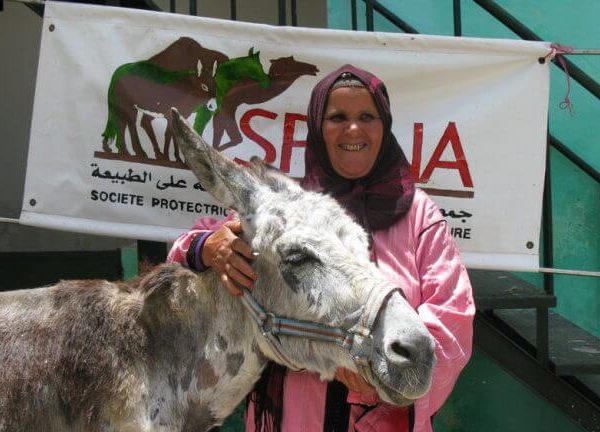 a woman with a donkey