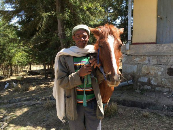 Aman the horse and owner