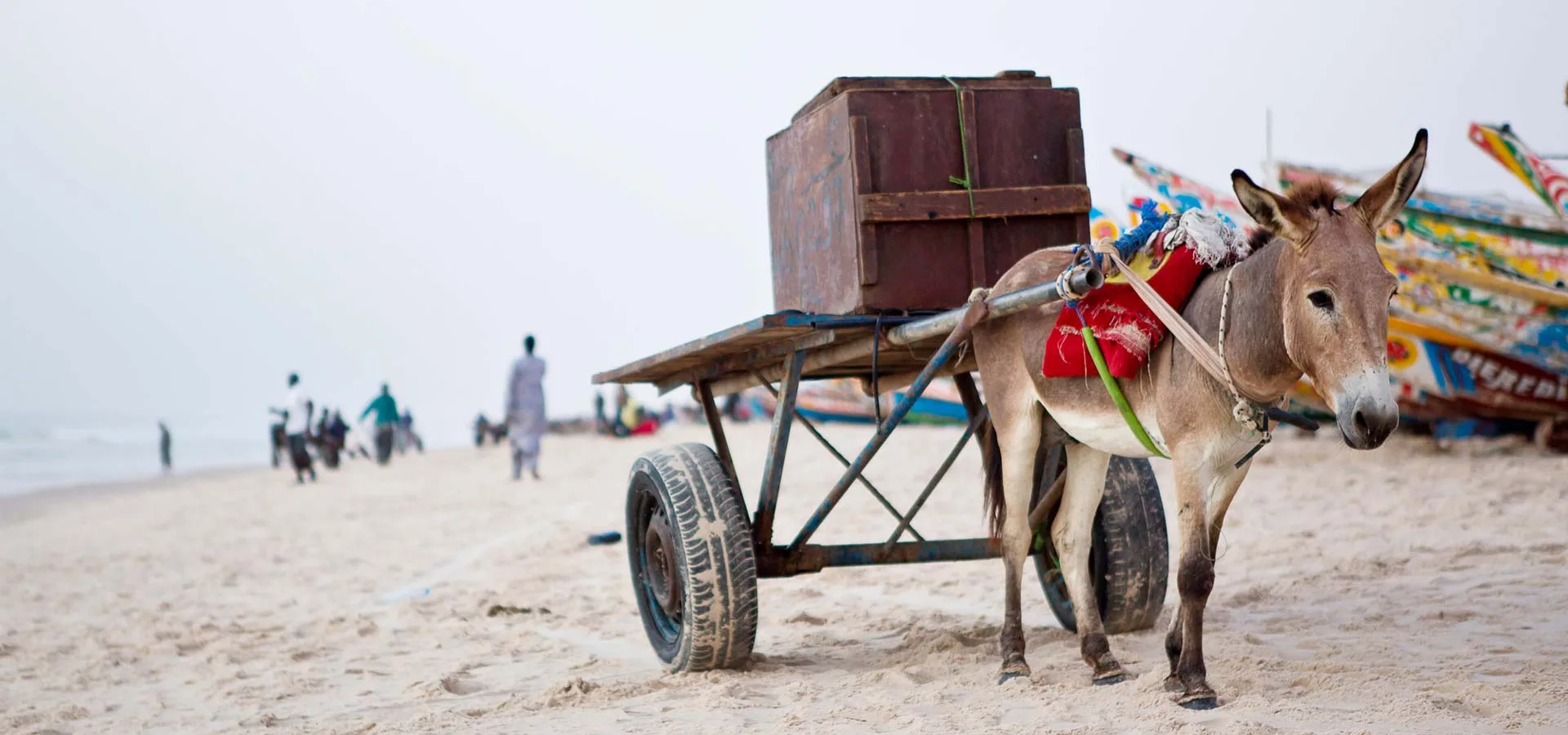 Donkey pulling a cart on barren landscape