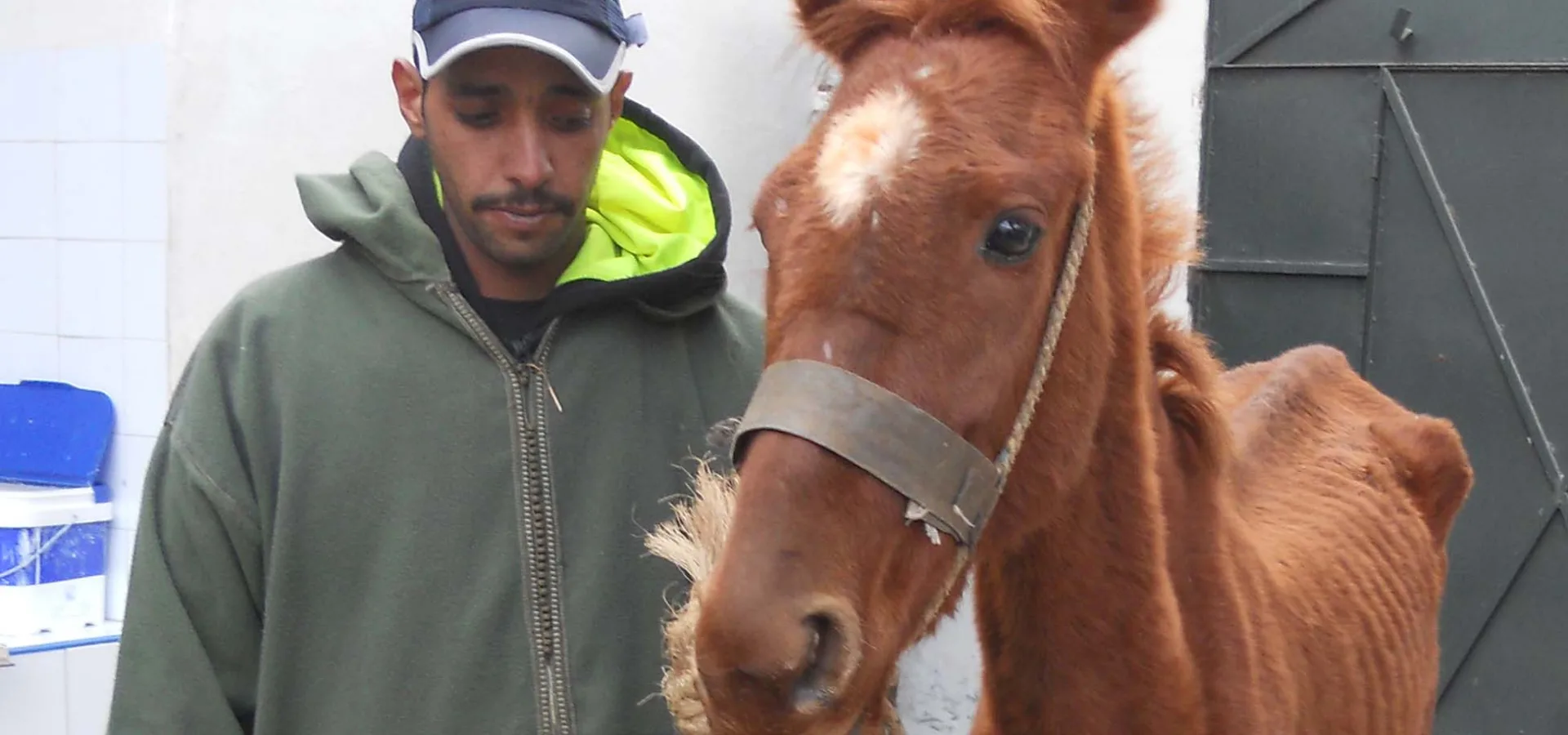 Man standing with horse
