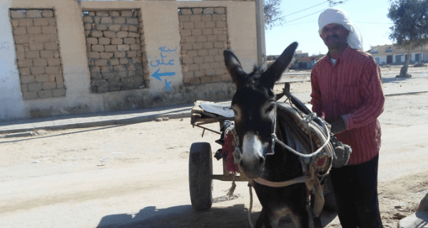 a donkey pulling a cart and the owner