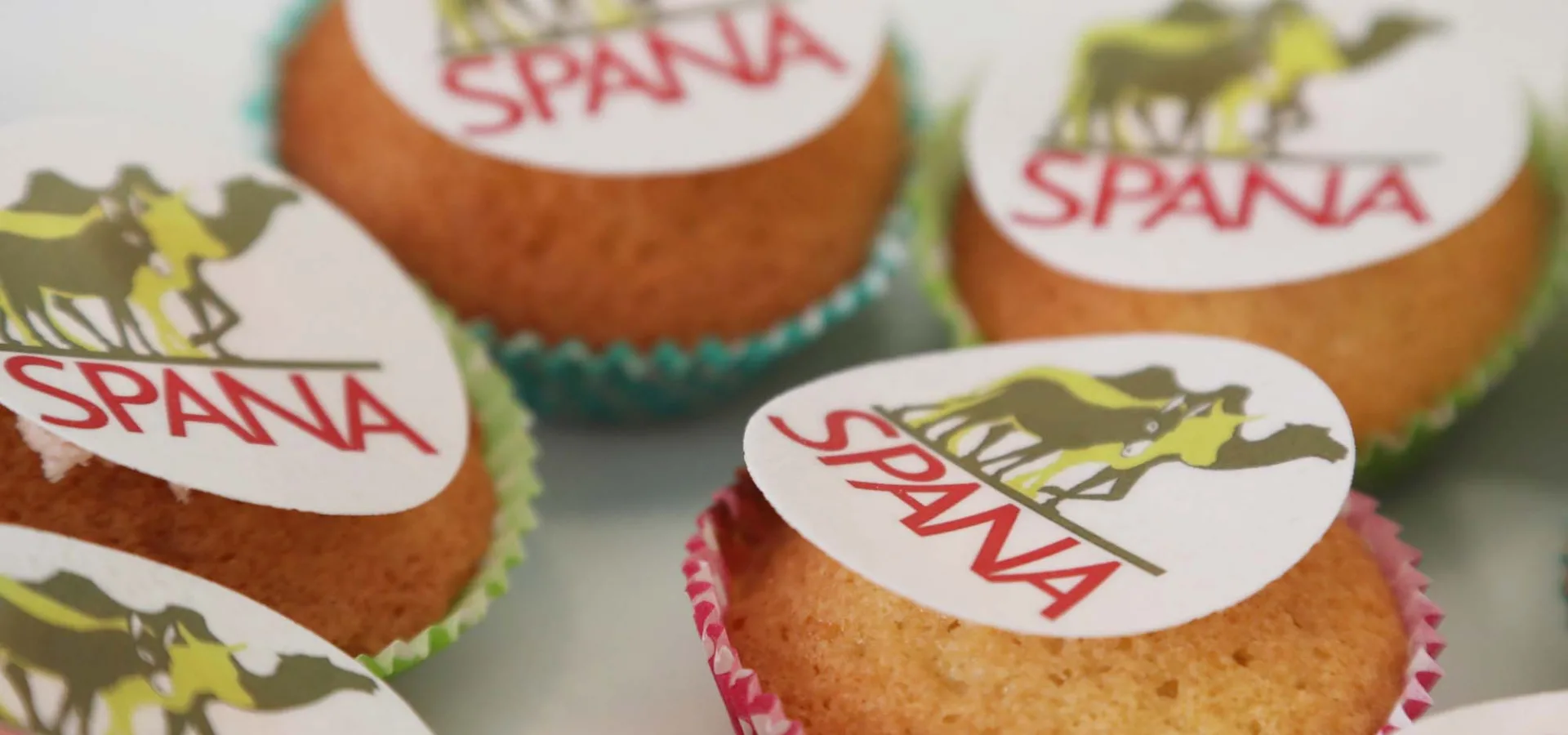 SPANA cupcakes