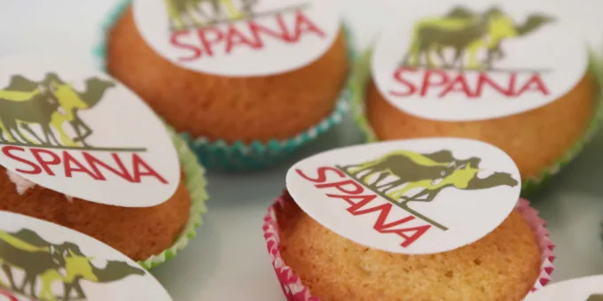 SPANA cupcakes