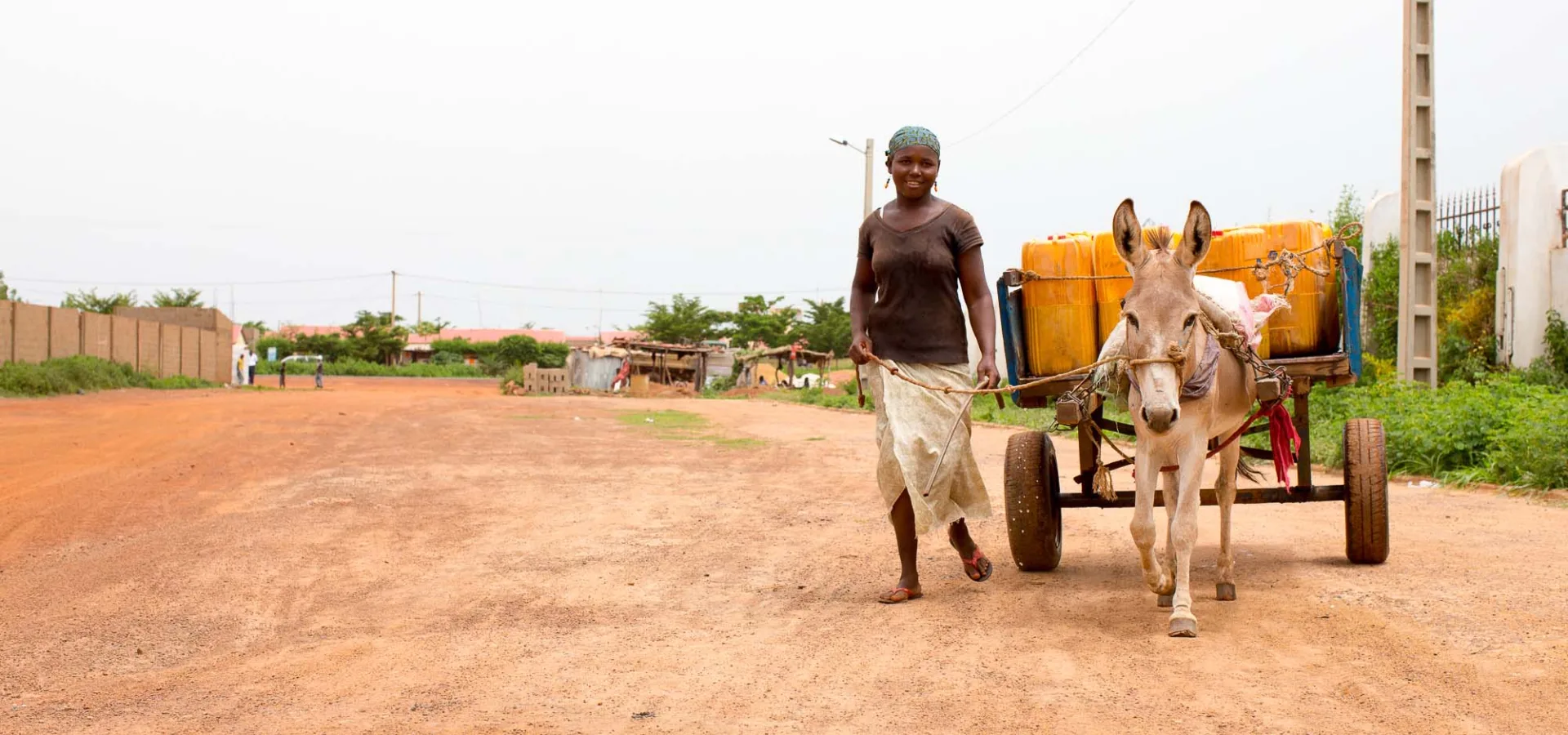 Donkey pulling cart with woman walking