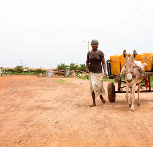 Donkey pulling cart with woman walking