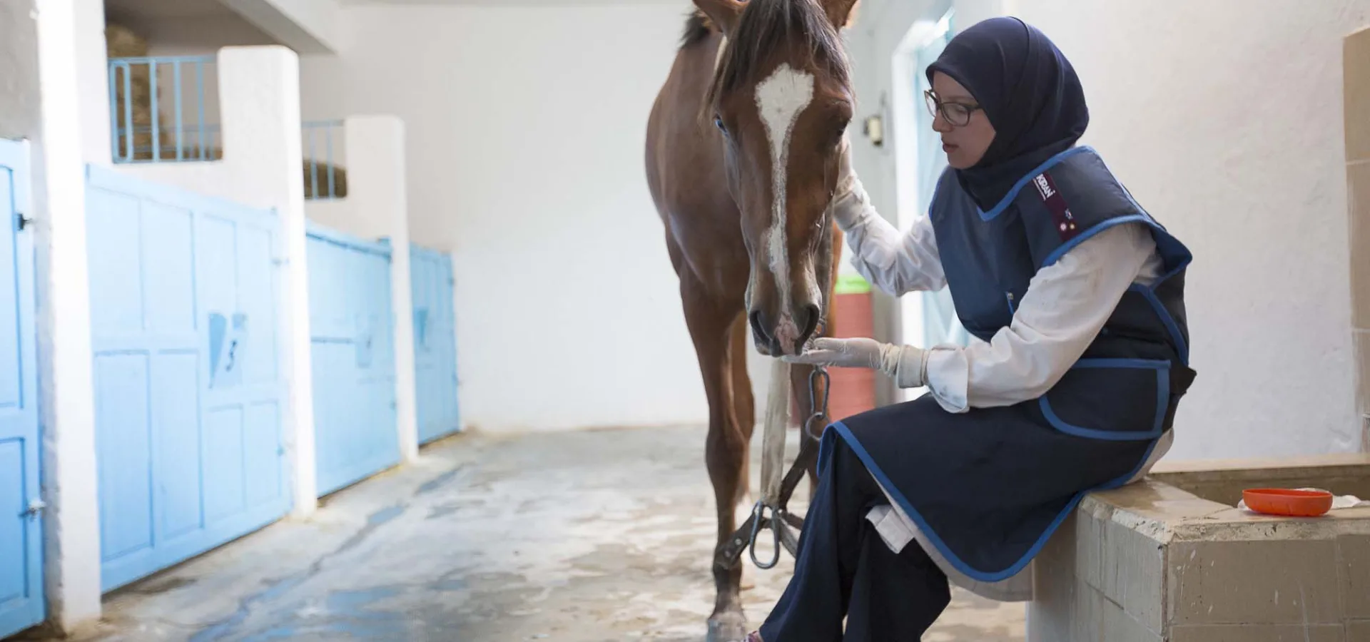 Horse standing next to woman sitting