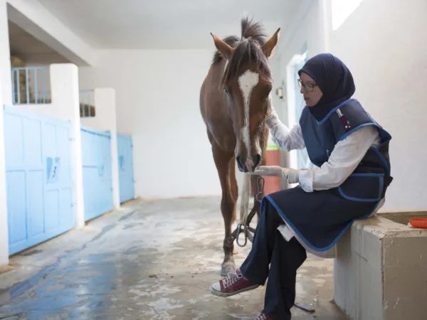 Horse standing next to woman sitting