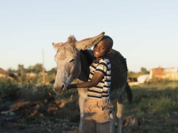 Young boy hugging a donkeys face
