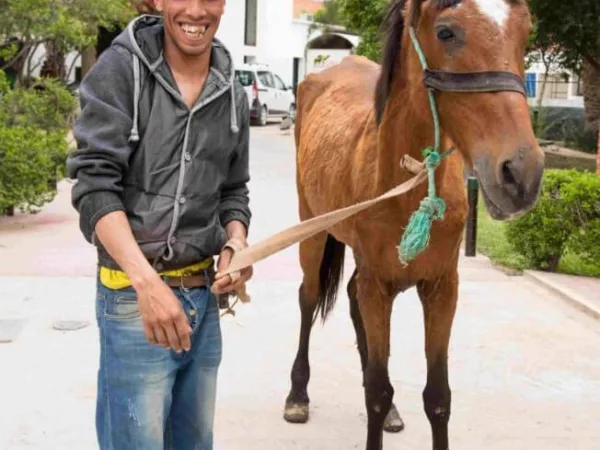 horse with owner