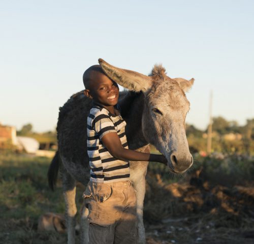 Boy with his donkey in South Africa