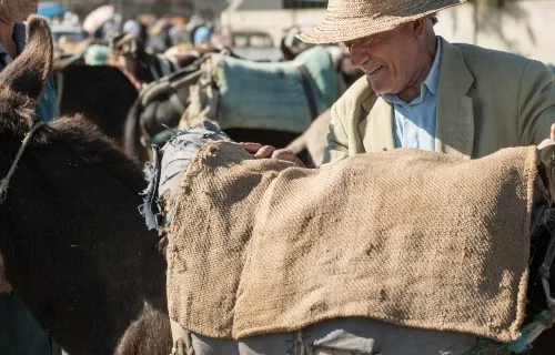 a donkey with his owner
