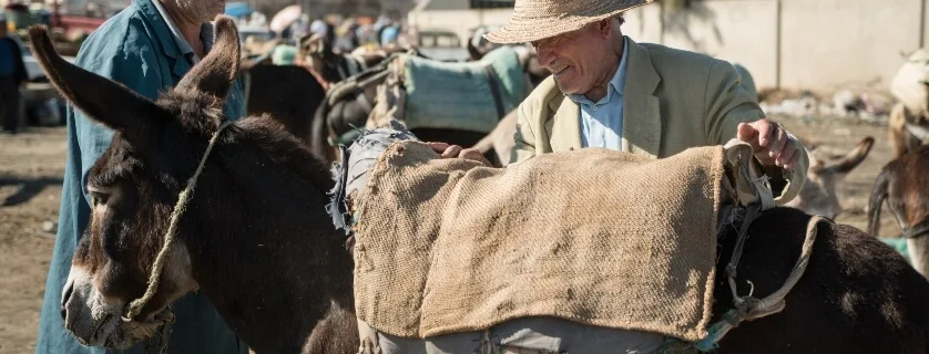 a donkey with his owner