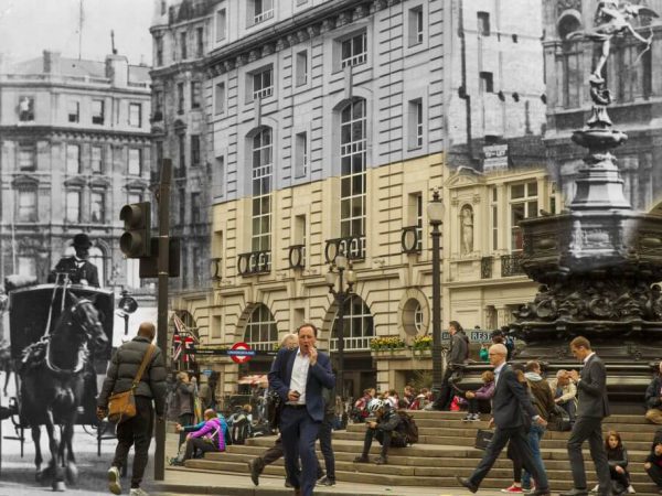 Working animals at Piccadilly Circus, London