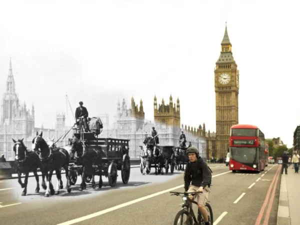 working animals at Westminster Bridge, London