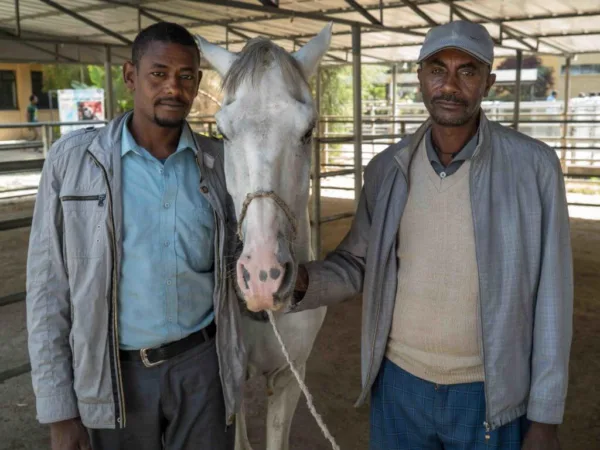 two men with a horse