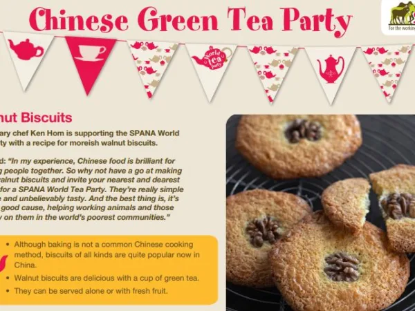 world tea party chinese green tea party