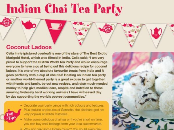 world tea party indian chai tea party