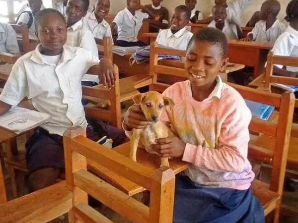 children in liberia in a classroom