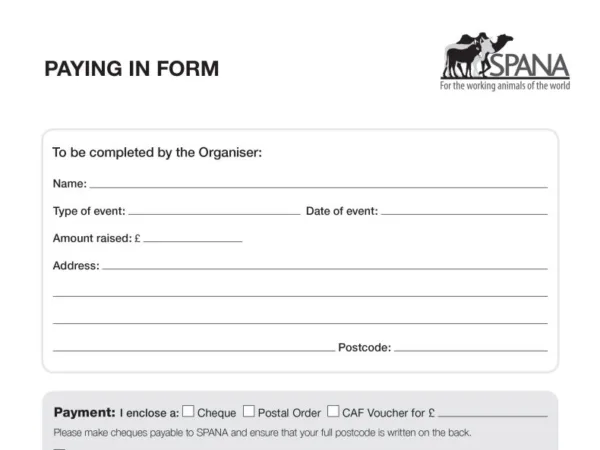paying in form snippet
