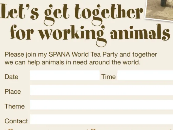 world tea party poster