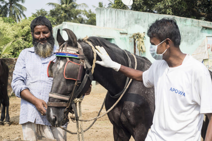 two men with a horse in india