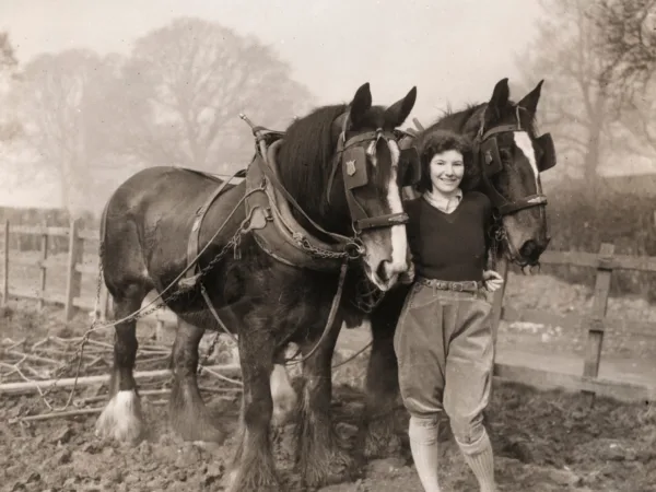 female with two horses