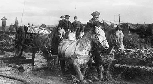 Horses-pulling-cart-in-World-War-One-©Imperial-War-museum