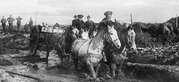 Horses-pulling-cart-in-World-War-One-©Imperial-War-museum